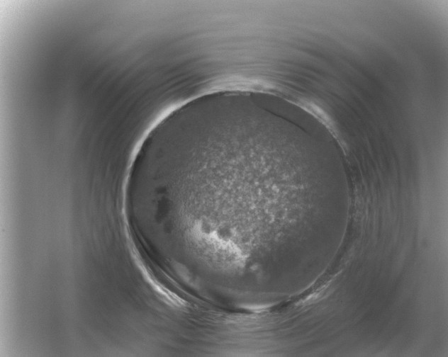 X0000066011128200603101550