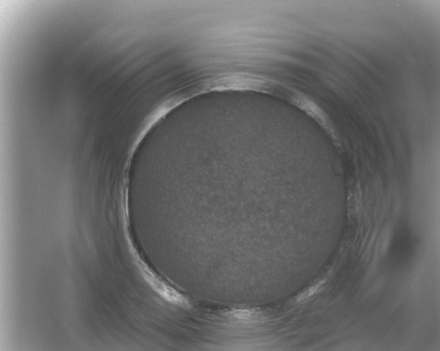 X0000066011130200603101550