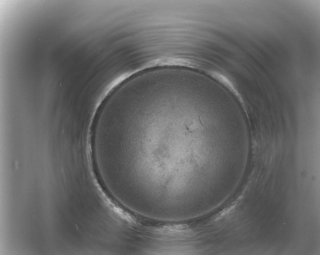 X0000066011133200603101550