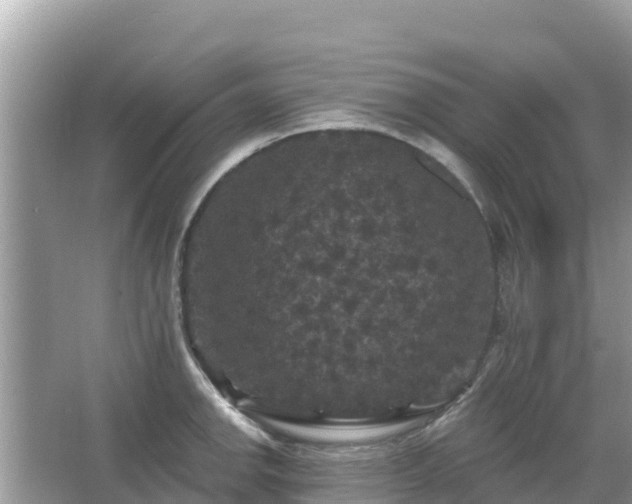 X0000066011142200603101550