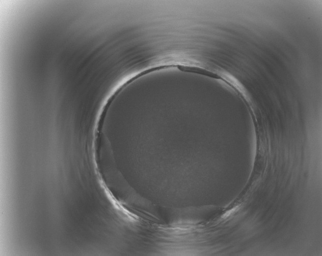 X0000066011144200603101550