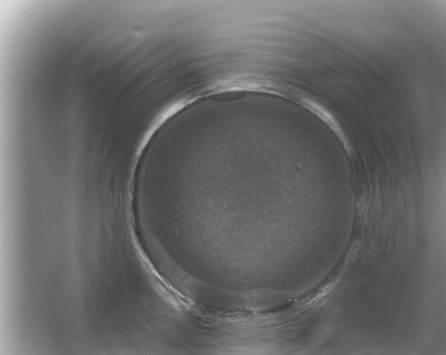 X0000066011146200603101550