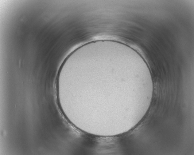 X0000066011150200603101550