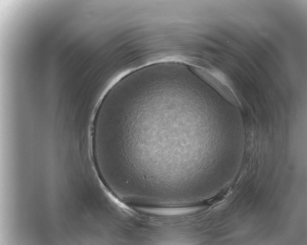 X0000066011151200603101550