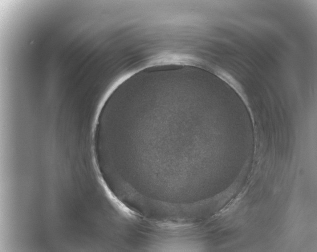 X0000066011152200603101550