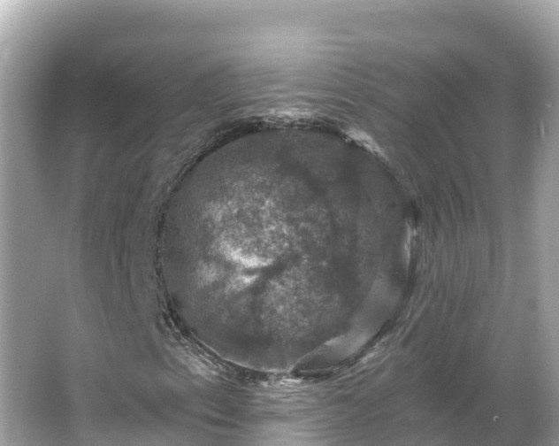 X0000066011153200603101549