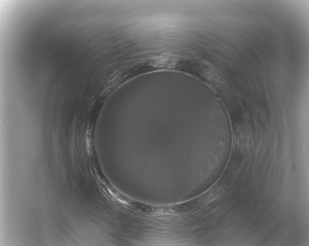 X0000066011154200603101549