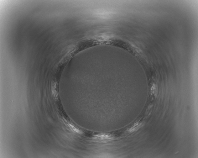 X0000066011156200603101549