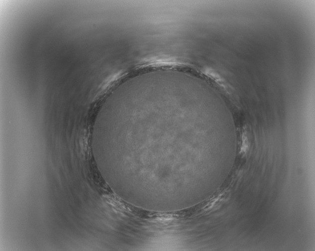 X0000066011157200603101549