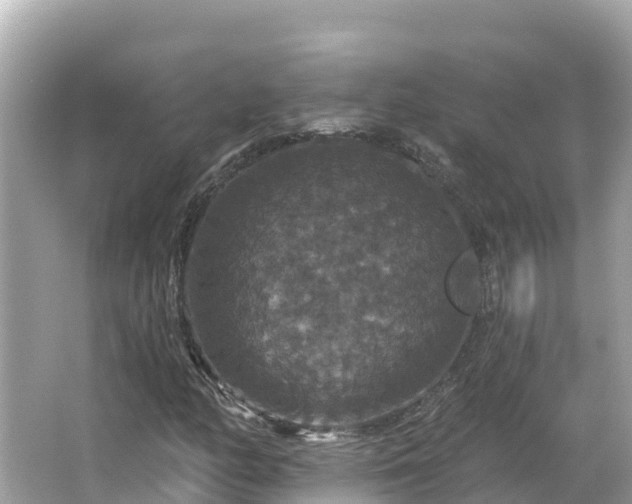 X0000066011158200603101549