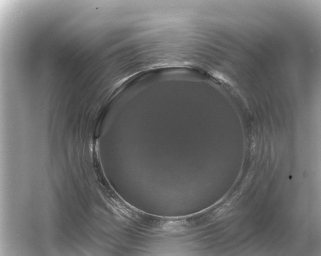 X0000066011161200603101549