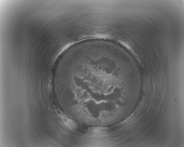 X0000066011163200603101549