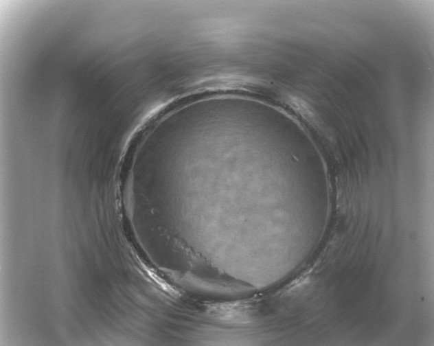 X0000066011164200603101549