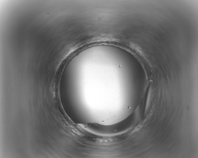 X0000066011165200603101549