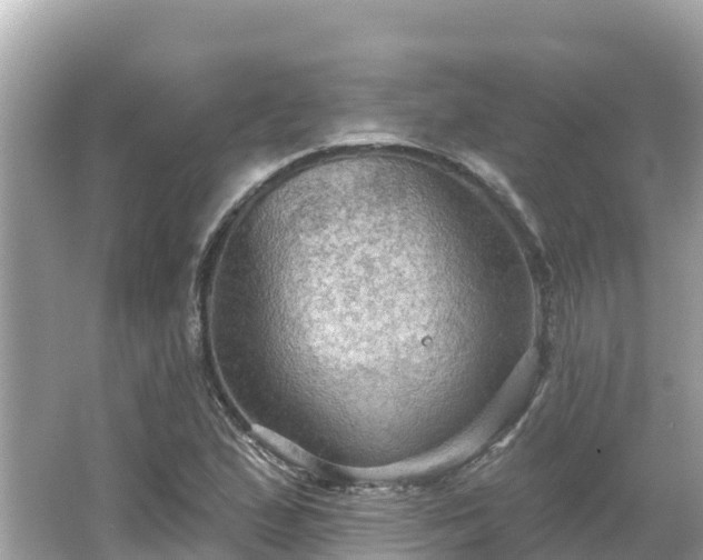 X0000066011167200603101549