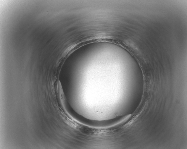 X0000066011169200603101549