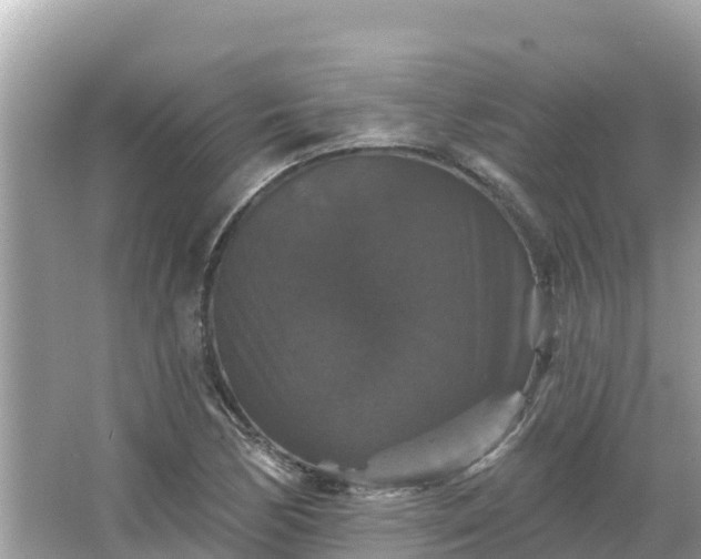 X0000066011170200603101549