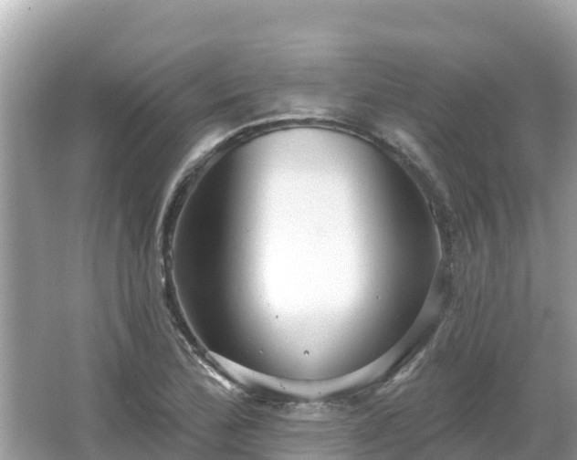 X0000066011172200603101549