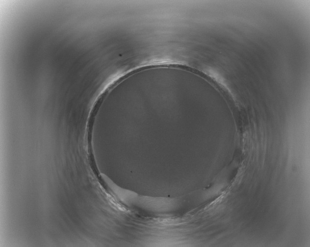 X0000066011173200603101549