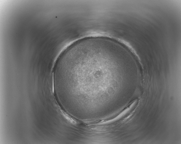 X0000066011175200603101549