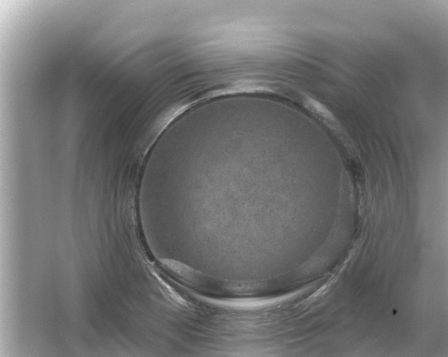 X0000066011177200603101549