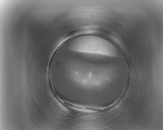 X0000066011178200603101549