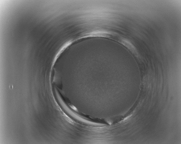 X0000066011180200603101549