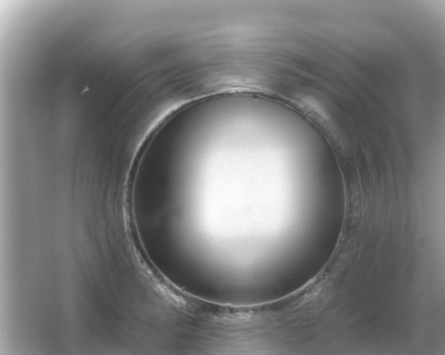 X0000066011182200603101549