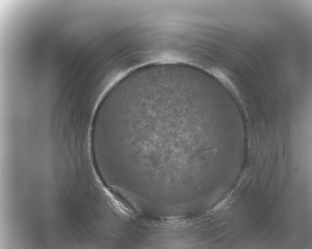 X0000066011183200603101549