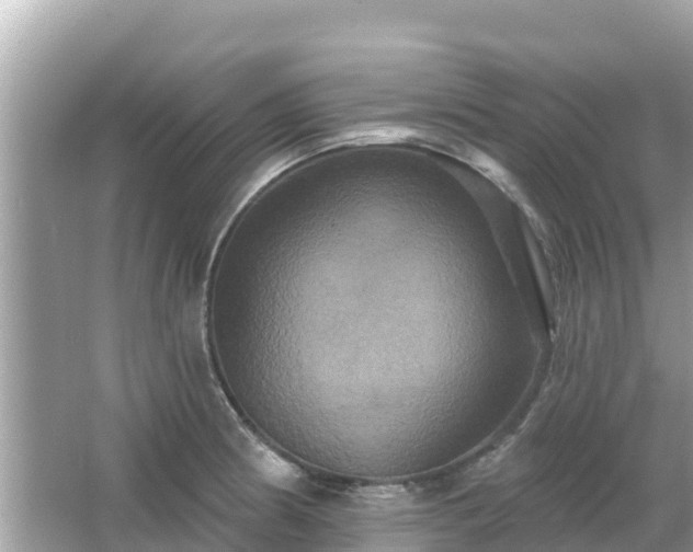 X0000066011186200603101549