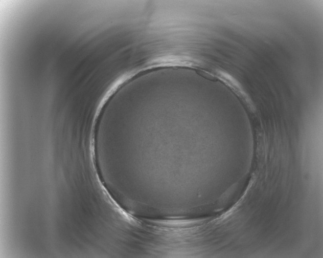 X0000066011188200603101549