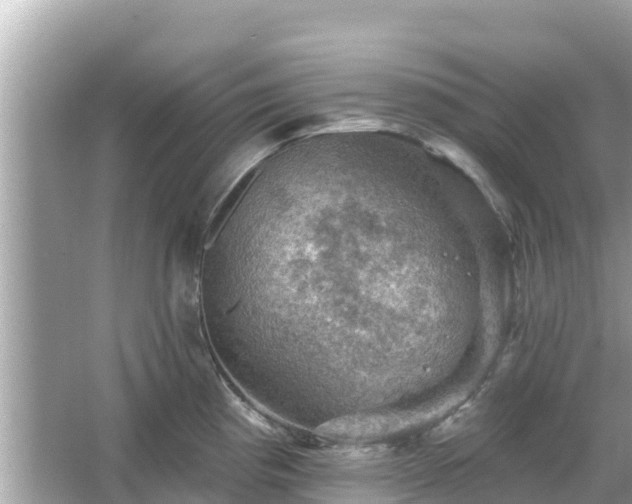 X0000066011193200603101548