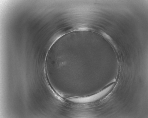 X0000066011194200603101548