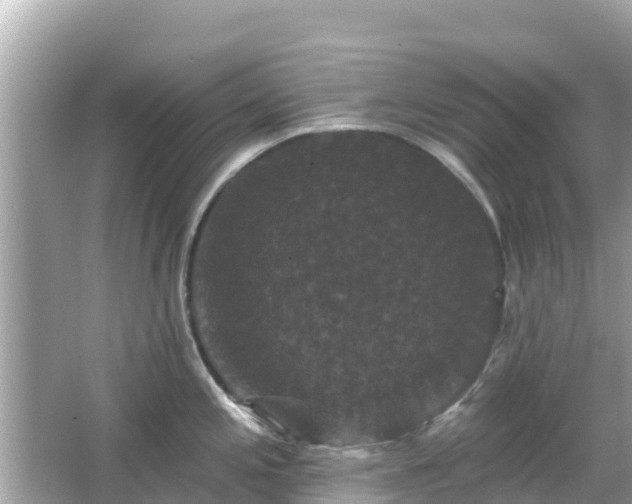 X0000066011197200603101548