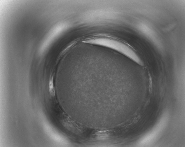 X0000066011198200603101548