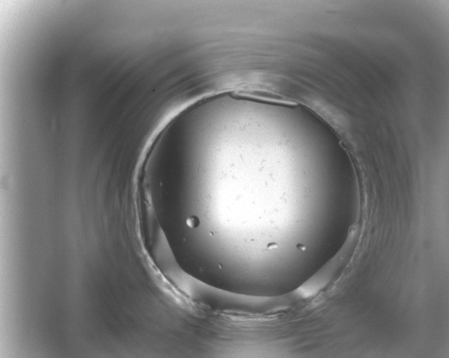 X0000066011200200603101548