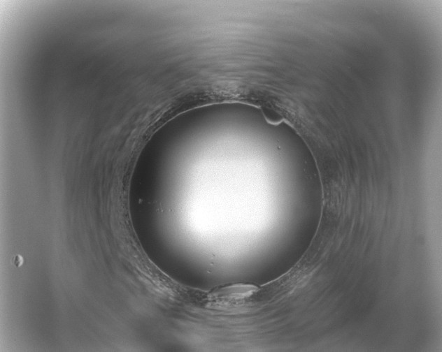 X0000066011201200603101548