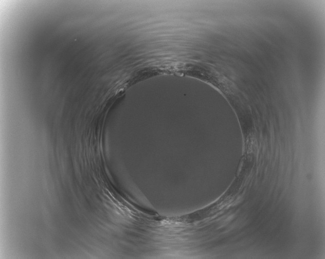 X0000066011202200603101548