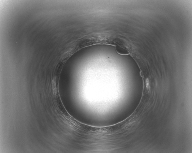 X0000066011203200603101548