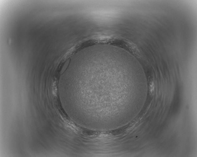 X0000066011204200603101548