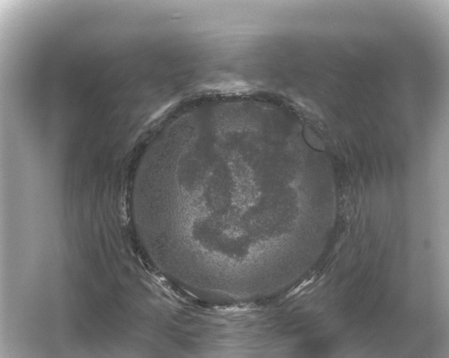 X0000066011205200603101548