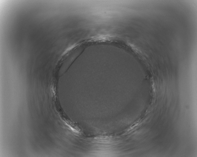 X0000066011206200603101548