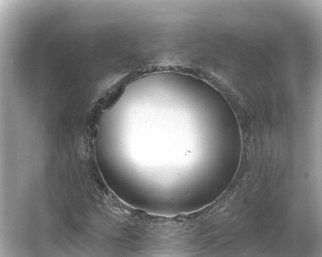 X0000066011207200603101548