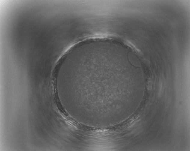 X0000066011208200603101548