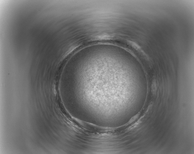 X0000066011209200603101548