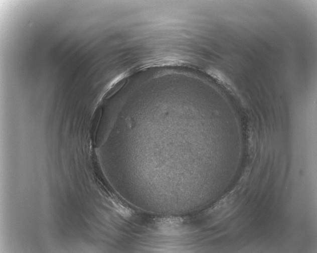 X0000066011210200603101548