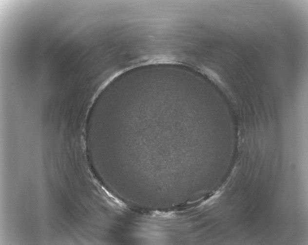 X0000066011212200603101548