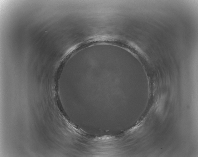 X0000066011213200603101548