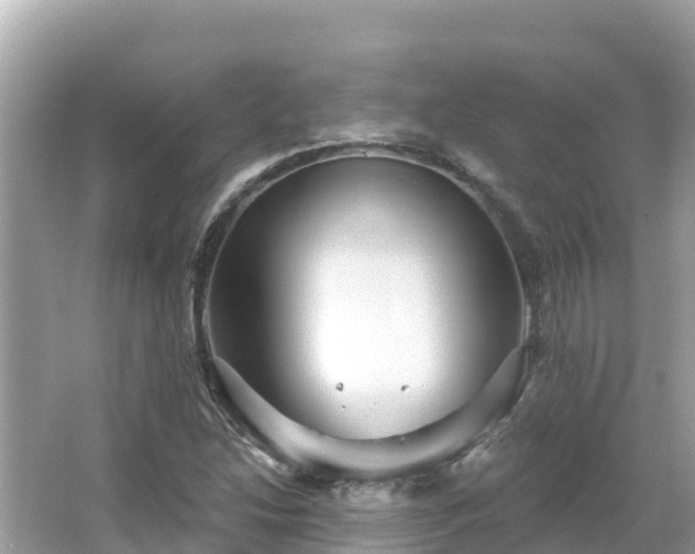 X0000066011214200603101548