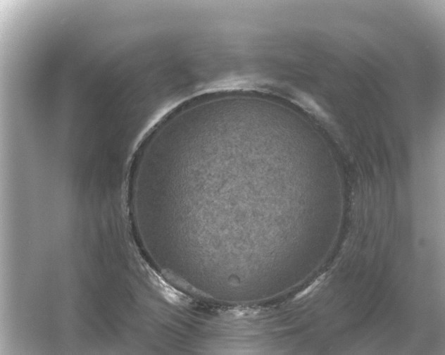 X0000066011216200603101548